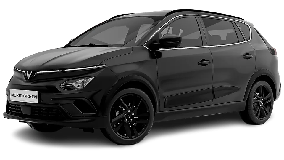 Nerio Green NEW
